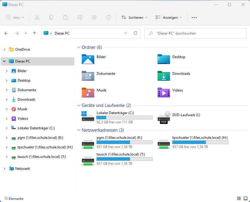 Lokale Laufwerke und Netzlaufwerke